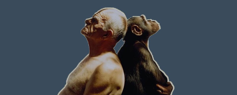 روانشناسی تکاملی